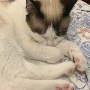 Meet your Posher, Stef